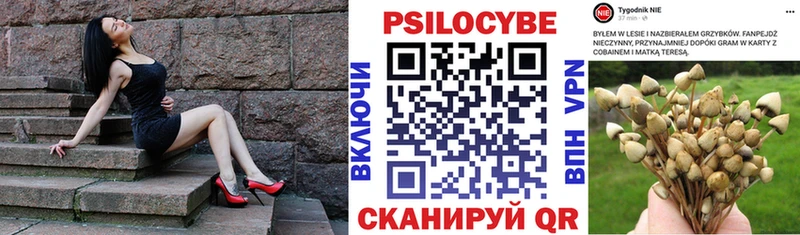 закладки  Ленск  Галлюциногенные грибы Magic Shrooms 