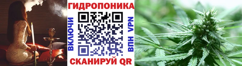 МАРИХУАНА гибрид Ленск
